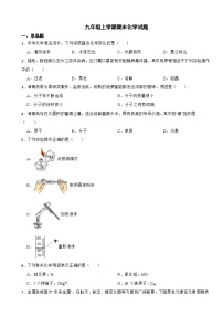 海南省陵水县2023年九年级上学期期末化学试题附答案