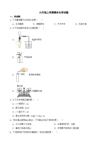 四川省成都市2023年九年级上学期期末化学试题附答案
