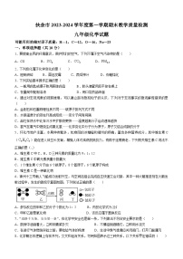 吉林省松原市扶余市2023-2024学年九年级上学期期末化学试题