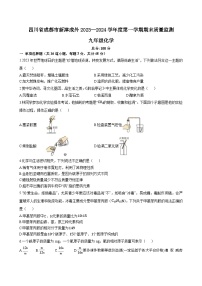 四川省成都市新津区成外学校2023—2024学年九年级上学期期末质量监测化学试题