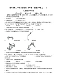 宁夏银川市第三中学九年级上学期12月月考化学试题(无答案)