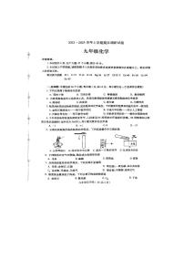 河南省平顶山市鲁山县2023-2024学年九年级上学期期末化学试卷