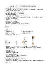 安徽省合肥市小庙中学2023_2024学年九年级上学期期末模拟化学试卷（一）