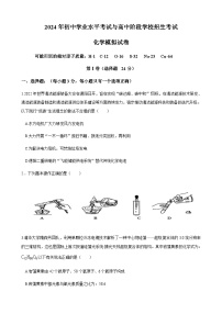 2024年四川省德阳市中考模拟化学试卷.1