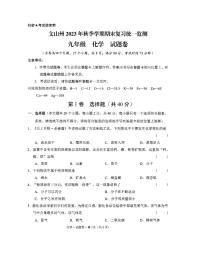 云南省文山壮族苗族自治州2023-2024学年九年级上学期1月期末化学试题