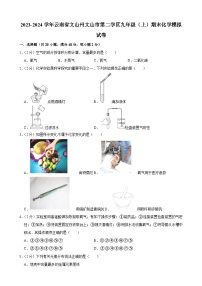 云南省文山州文山市第二学区2023-2024学年九年级上学期期末模拟化学试卷