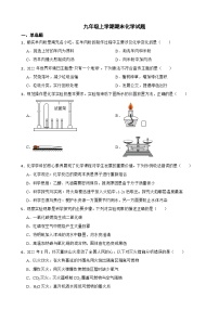 四川省南充市2023年九年级上学期期末化学试题附答案