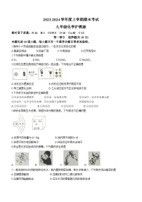 ，辽宁省沈阳市康平县2023-2024学年九年级上学期期末考试化学试题(无答案)