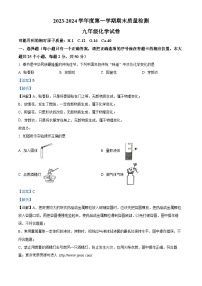 河北省保定市2023—2024学年九年级上学期期末质量监测化学试卷