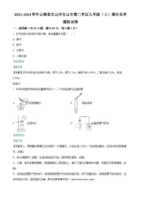 云南省文山州文山市第二学区2023-2024学年九年级上学期期末模拟化学试卷