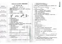 新疆维吾尔自治区喀什地区莎车县2023-2024学年九年级上学期1月期末化学试题