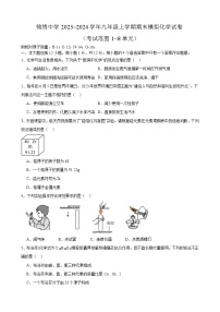 安徽省合肥市锦绣中学2023_2024学年九年级上学期期末模拟化学试卷