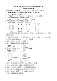 山东省枣庄市第十五中学2023-2024学年九年级上学期期末模拟考试化学试题