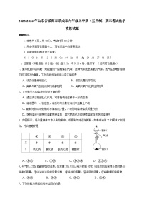 2023-2024年山东省威海市荣成市九年级上册（五四制）期末考试化学试题（附答案）