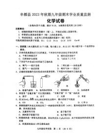 重庆市丰都县2023-2024学年九年级上学期期末学业质量监测化学试卷