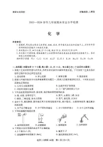 2023-2024学年河南省新乡市九上期末化学试卷及答案