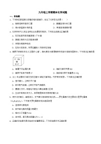 安徽省阜阳市2023年九年级上学期期末化学试题附答案