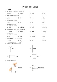 北京市东城区2023年九年级上学期期末化学试题附答案