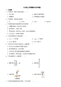 广东省广州市海珠区2023年九年级上学期期末化学试题附答案