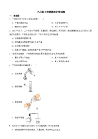 河北省保定市定州市2023年九年级上学期期末化学试题附答案