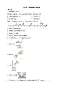 山东省泰安市2023年九年级上学期期末化学试题附答案