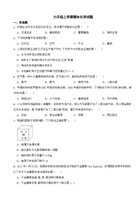 四川省内江市2023年九年级上学期期末化学试题附答案