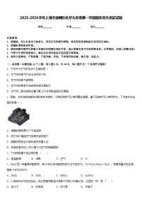 2023-2024学年上海市崇明区化学九年级第一学期期末综合测试试题含答案