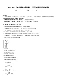 2023-2024学年上海市民办张江集团中学化学九上期末达标测试试题含答案