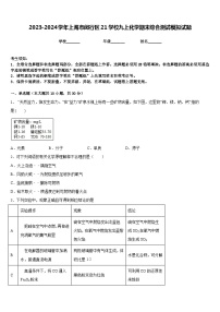 2023-2024学年上海市闵行区21学校九上化学期末综合测试模拟试题含答案