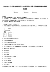 2023-2024学年上海市闵行区民办上宝中学九年级化学第一学期期末质量跟踪监视模拟试题含答案