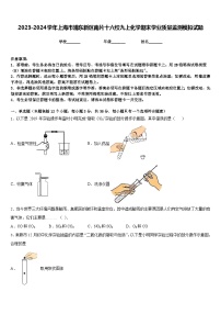 2023-2024学年上海市浦东新区南片十六校九上化学期末学业质量监测模拟试题含答案