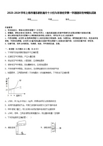 2023-2024学年上海市浦东新区南片十六校九年级化学第一学期期末统考模拟试题含答案