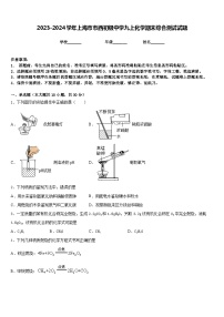 2023-2024学年上海市市西初级中学九上化学期末综合测试试题含答案