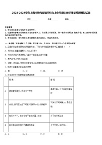 2023-2024学年上海市协和双语学校九上化学期末教学质量检测模拟试题含答案