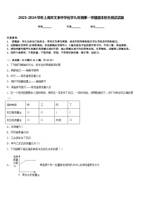 2023-2024学年上海市文来中学化学九年级第一学期期末综合测试试题含答案