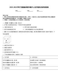 2023-2024学年下期湖南岳阳市城区九上化学期末达标检测试题含答案