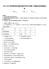 2023-2024学年内蒙古鄂尔多斯市河南中学化学九年级第一学期期末达标检测模拟试题含答案