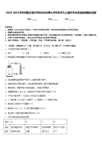 2023-2024学年内蒙古通辽市科尔沁区第七中学化学九上期末学业质量监测模拟试题含答案