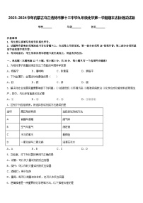 2023-2024学年内蒙古乌兰浩特市第十三中学九年级化学第一学期期末达标测试试题含答案