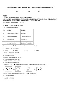 2023-2024学年合肥市蜀山区化学九年级第一学期期末质量检测模拟试题含答案