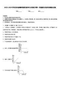 2023-2024学年吉林省朝鲜族四校联考九年级化学第一学期期末质量检测模拟试题含答案