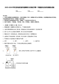 2023-2024学年吉林省松原市前郭县九年级化学第一学期期末达标检测模拟试题含答案