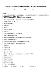 2023-2024学年吉林省延边朝鲜族自治州名校化学九上期末复习检测模拟试题含答案