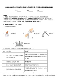 2023-2024学年四川南充市嘉陵区九年级化学第一学期期末质量跟踪监视试题含答案