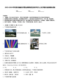 2023-2024学年四川省南充市营山县春城北实验学校九上化学期末监测模拟试题含答案