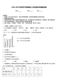 2023-2024学年咸宁市通城县九上化学期末考试模拟试题含答案