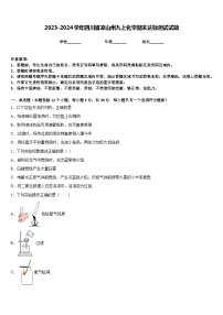 2023-2024学年四川省凉山州九上化学期末达标测试试题含答案