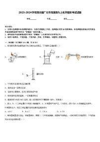 2023-2024学年四川省广元市苍溪县九上化学期末考试试题含答案