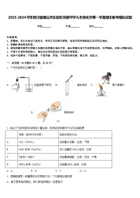 2023-2024学年四川省眉山市东坡区苏辙中学九年级化学第一学期期末联考模拟试题含答案