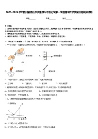 2023-2024学年四川省眉山市洪雅县九年级化学第一学期期末教学质量检测模拟试题含答案